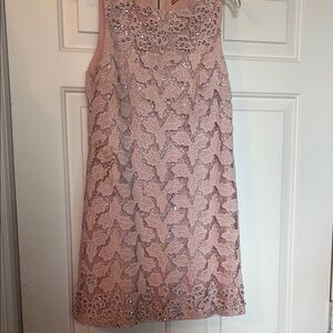 Elegant Pink Lace Dress